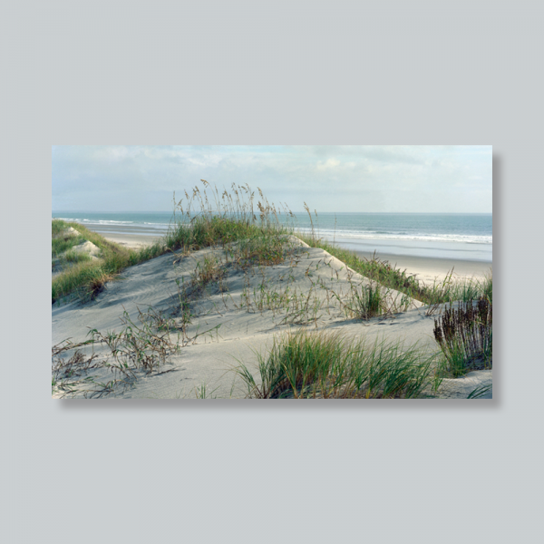 dunes-afternoon-light